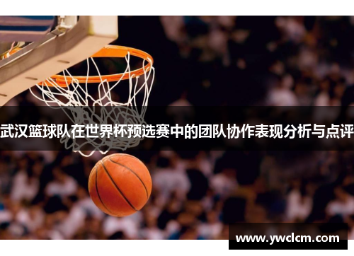 武汉篮球队在世界杯预选赛中的团队协作表现分析与点评