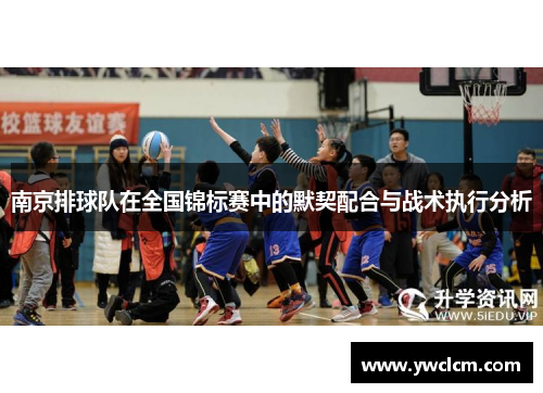 南京排球队在全国锦标赛中的默契配合与战术执行分析