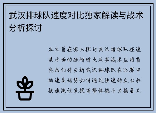 武汉排球队速度对比独家解读与战术分析探讨