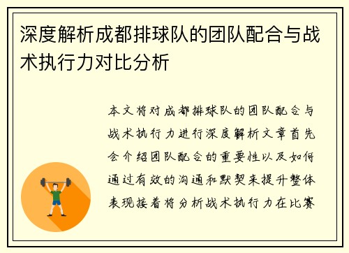 深度解析成都排球队的团队配合与战术执行力对比分析