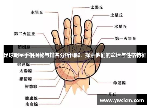 足球明星手相揭秘与排名分析图解，探索他们的命运与性格特征